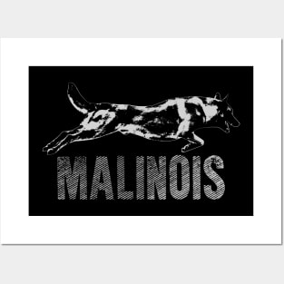 Malinois  - Belgian shepherd - Mechelaar Posters and Art